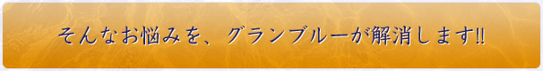 そんなお悩みを、グランブルーが解消します!!